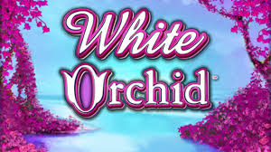 White Orchid Slots