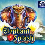Elephant Splash